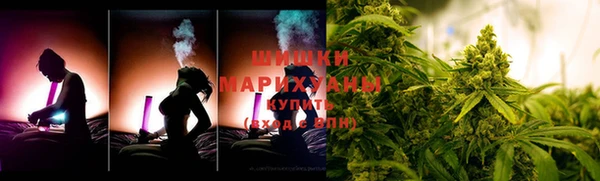 дмт Дубна