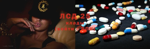 мяу мяу мука Арсеньев